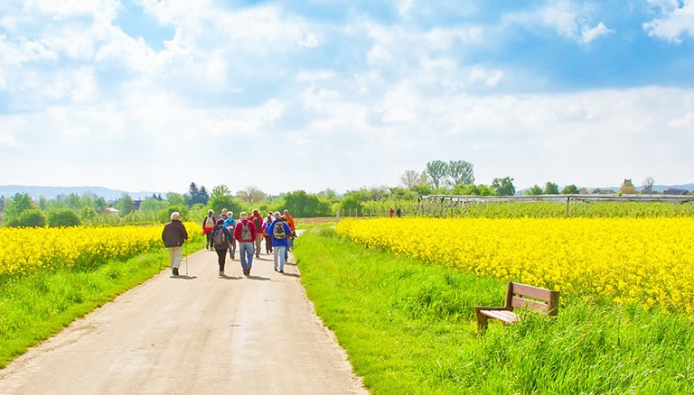 Wanderweg im Frühling