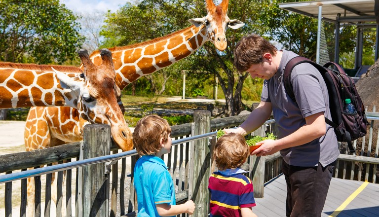 Orlando-Central-Florida-Zoo-und-Botanical-Gardens.