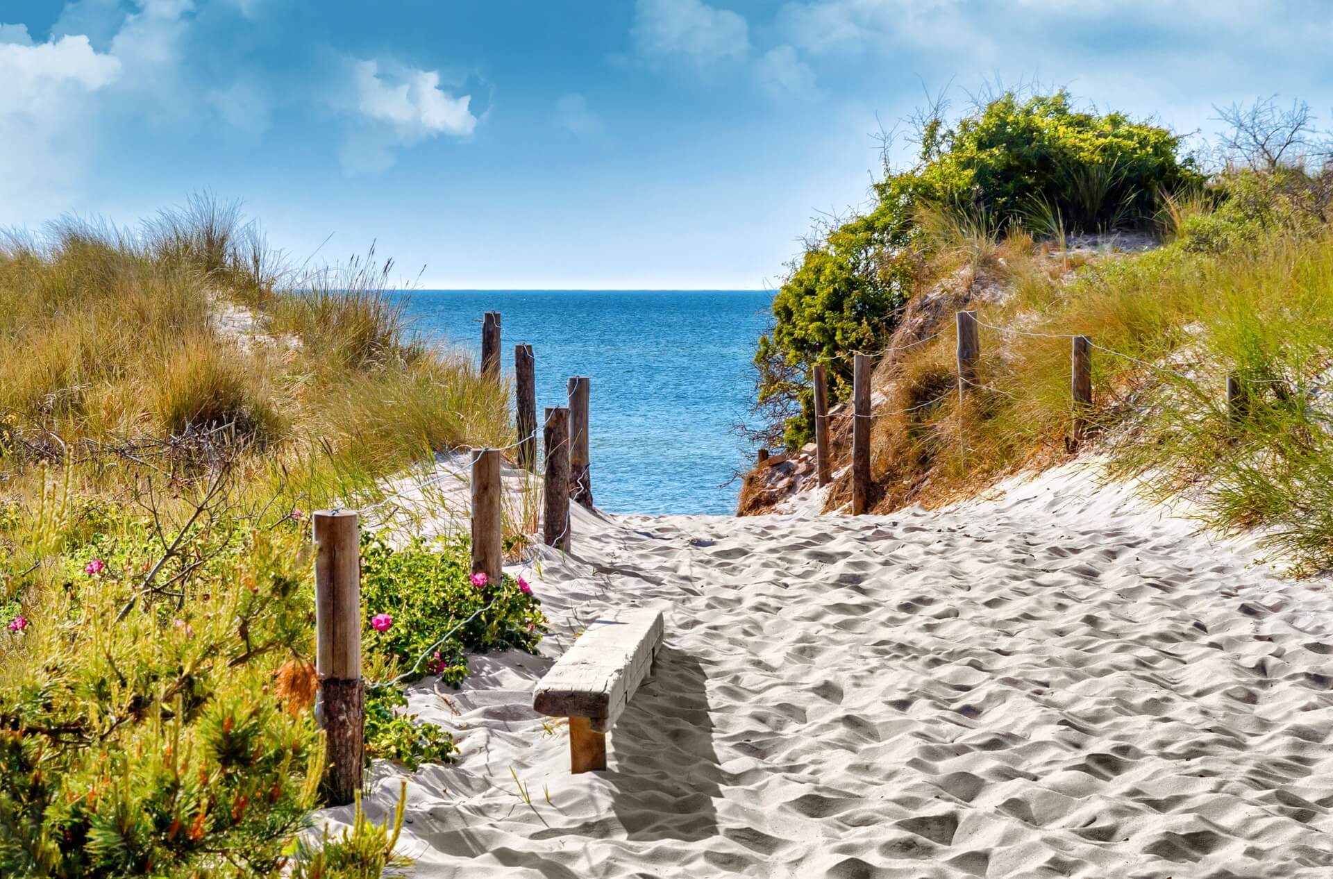 Ostsee Günstige Ferienhäuser, Ferienwohnungen und Tipps