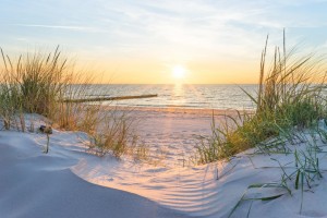 Blick auf die Ostsee