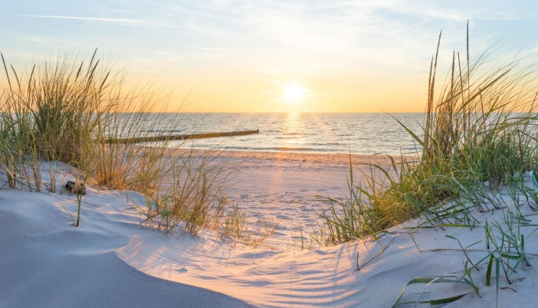 Blick auf die Ostsee