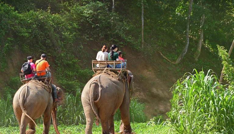 Phuket - Elefanten Trekking