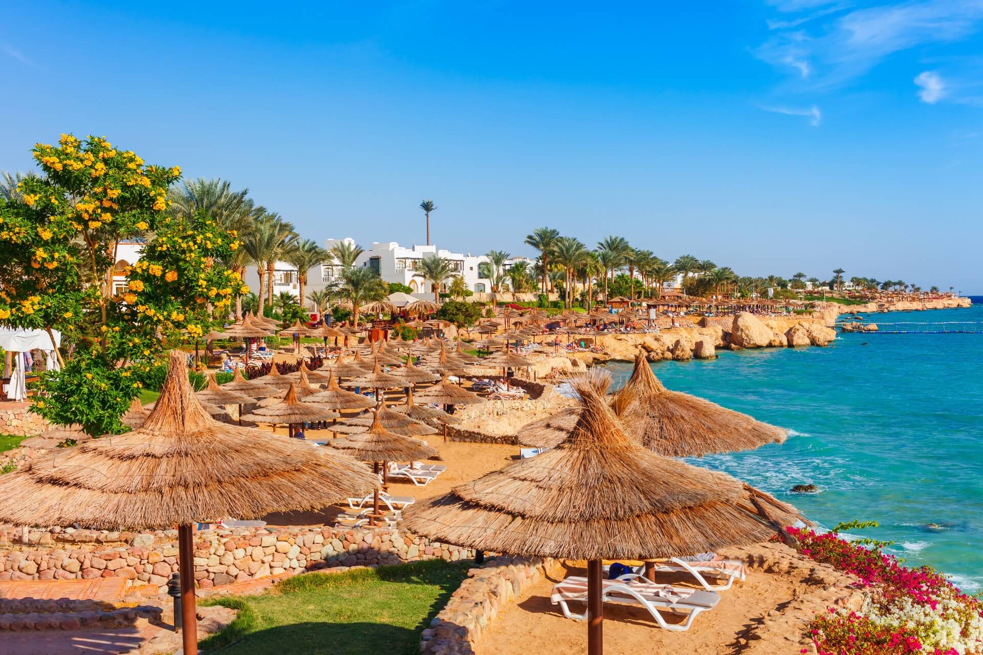 Ägypten All Inclusive Reisen von Travelscout24.de All Inclusive Reise Ägypten günstig buchen