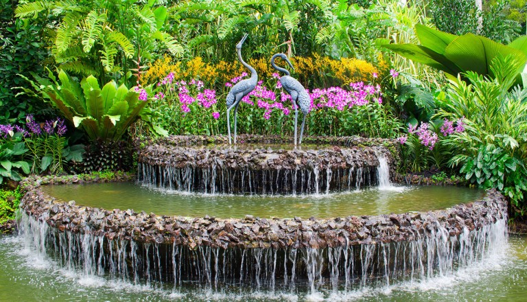 Singapur - Botanic Gardens