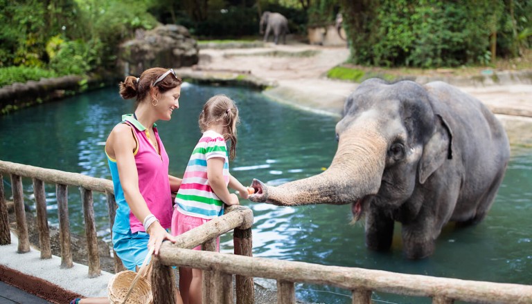 Mutter mit Tochter im Zoo