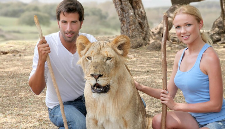 Suedafrika - Lion Park in Johannesburg