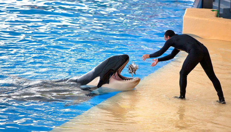 Teneriffa - Loro Parque