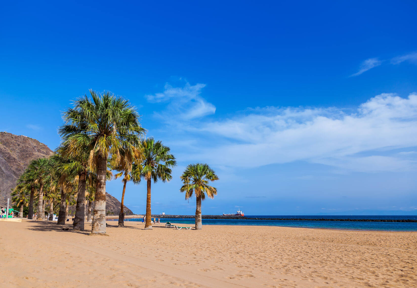 Teneriffa Sandstrand mit Palmen