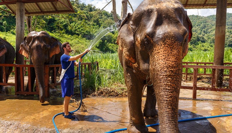 Thailand - Elephant Nature Park in Chiang Mai