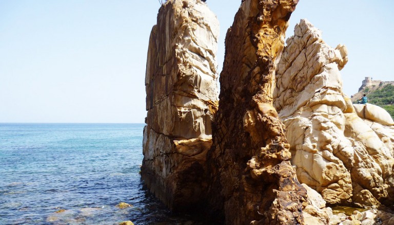 Tunisia - Tabarka - needles