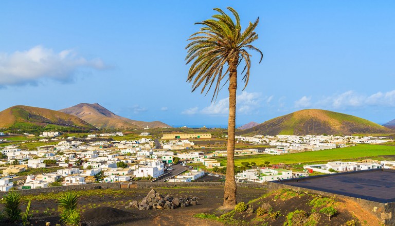 Uga - Lanzarote