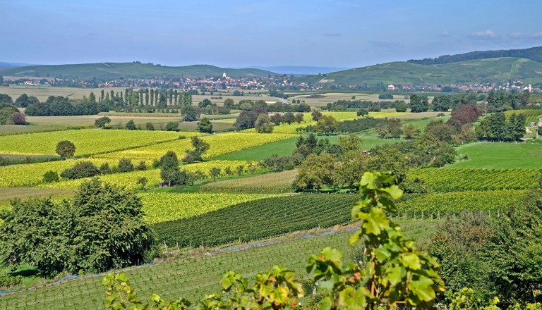 Urlaub-in-Markgräflerland