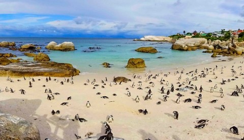 Bis zu 30% Rabatt REISESPECIALS