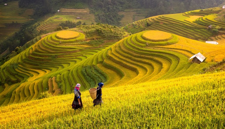 Vietnam - Pauschalreise