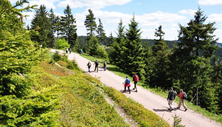 Wandern im Thüringer Wald