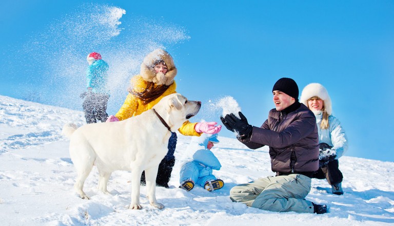 Winterurlaub - Hund