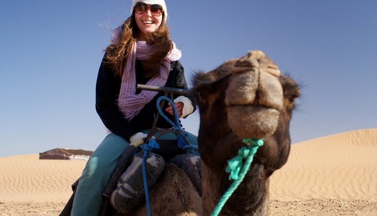 Zypern - Camel Park in Mazotos