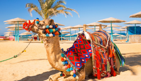 Pauschalreise Hurghada