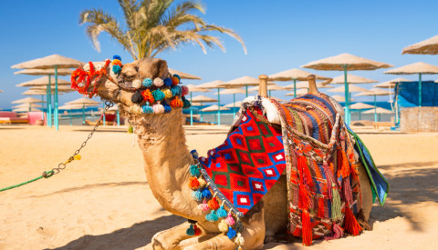 Pauschalreise Hurghada