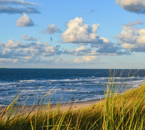 4 Tage Ferienwohnung in Ueckermünde