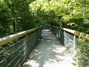 Baumkronenpfad, Nationalpark Hainich