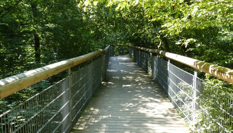 Baumkronenpfad, Nationalpark Hainich