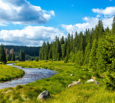 4 Tage Bayerischer Wald inkl. Frühstück über Pfingsten