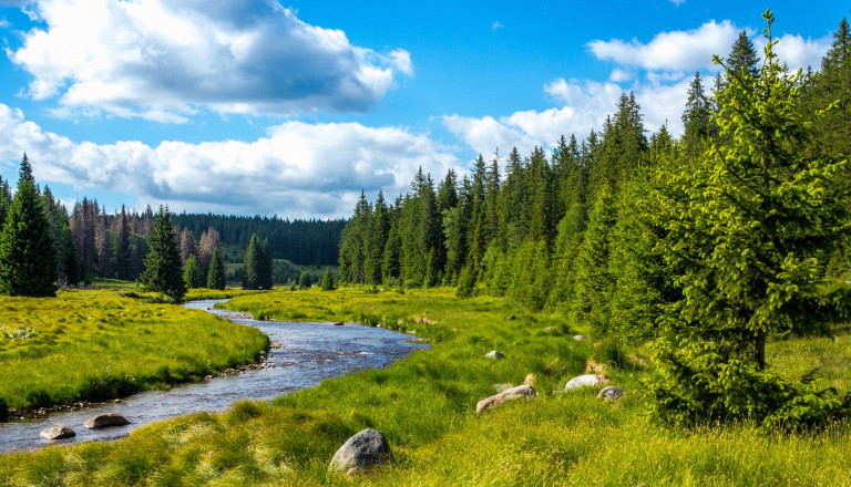 Top Deutschland-Deal: Landhotel Jägerstöckl in Grafenauab 161€