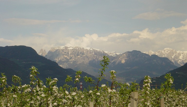 Bergpanorama in Südtirol