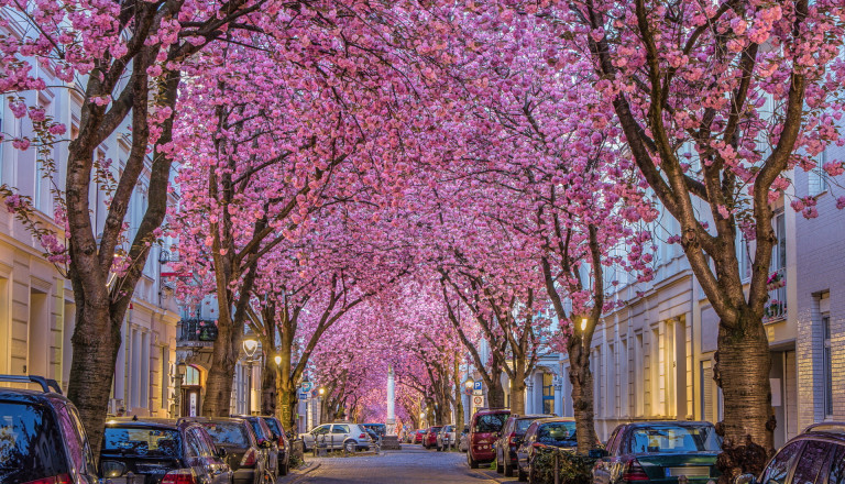 Städtereise Bonn