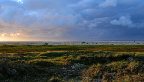 Borkum Landschaft