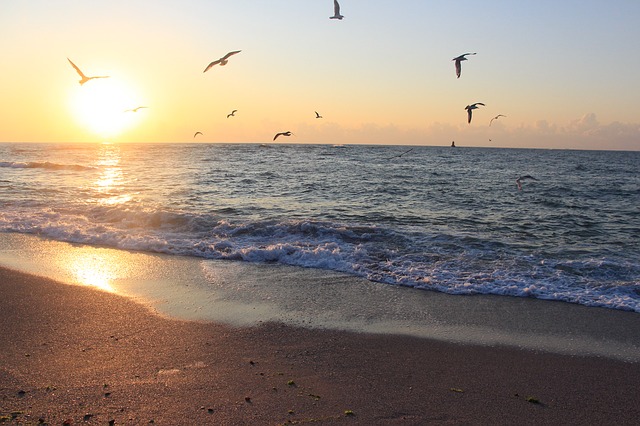 Schwarzes Meer, Bulgarien