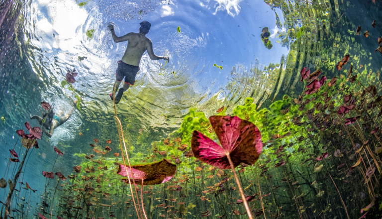 Cenotes Caves