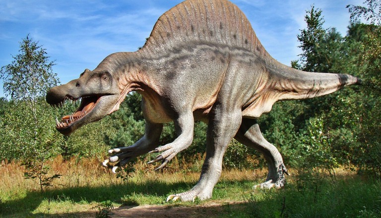 Dinosaurier Modell