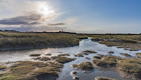 Norderney Dünen