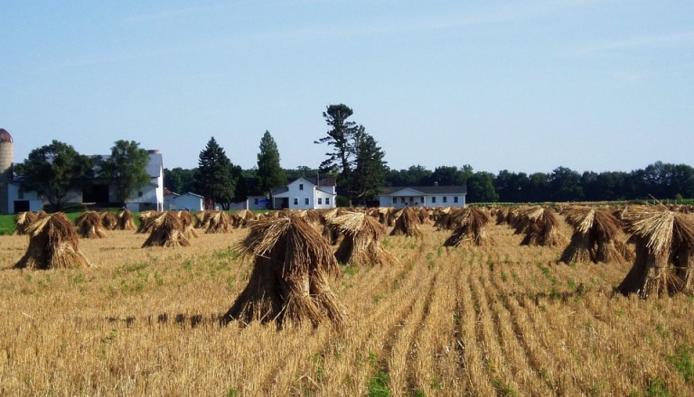 Amish village