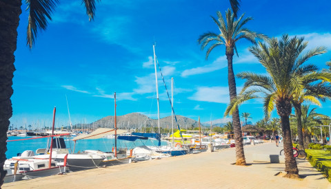 Port d'Alcudia