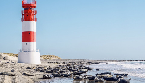 Helgoland Leuchtturm Südstrand
