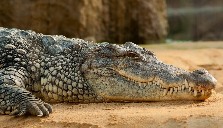 iSimangaliso-Wetland-Park