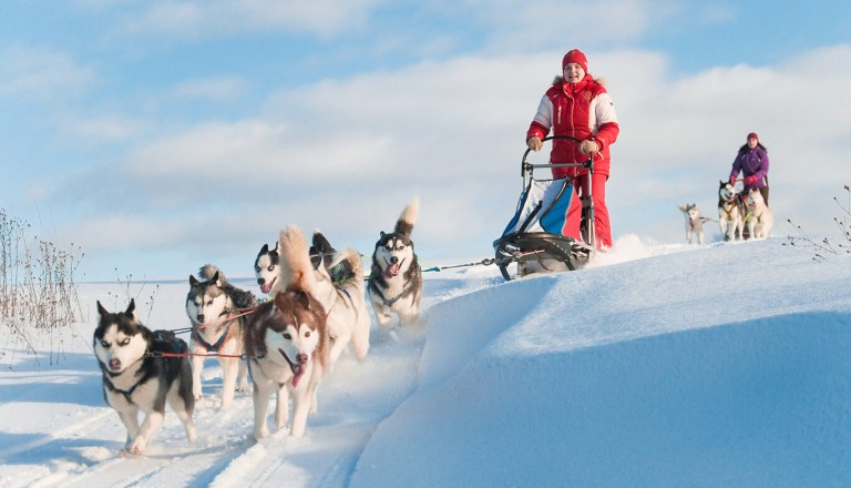 iditarod - Landschaft Alaska