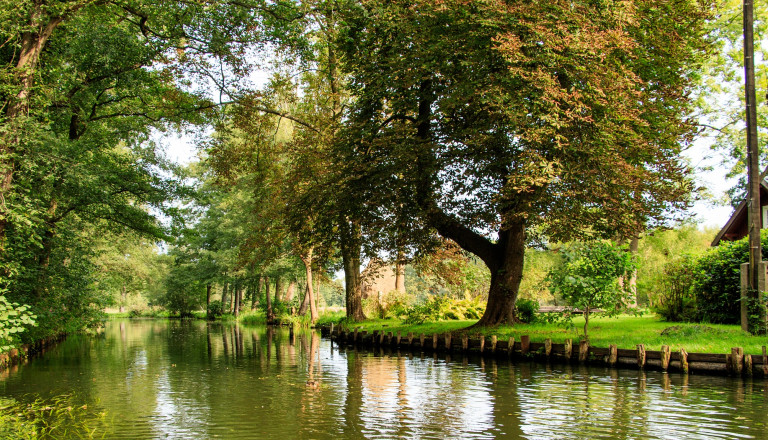 Kanal Spreewald Sommer