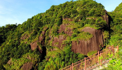 Kowloon Park