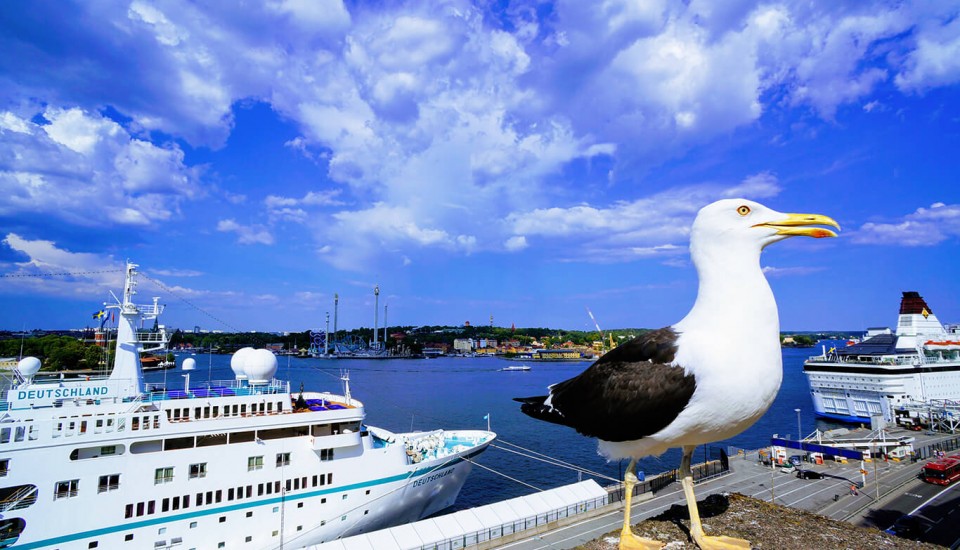 Kreuzfahrten - Ostsee