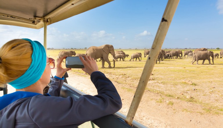 Krueger-Nationalpark - Elefanten-Safari