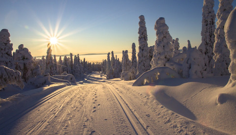 Lappland Schnee
