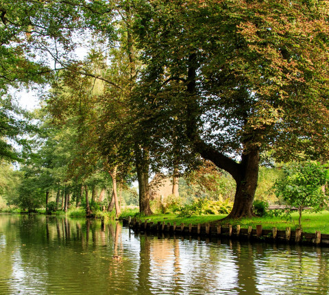 4 Tage Spreewald inkl. Frühstück zur Eigenanreise