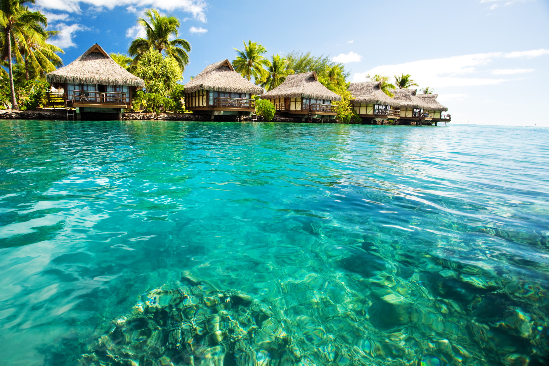Urlaub auf Malediven  Alles was Sie jetzt wissen sollten
