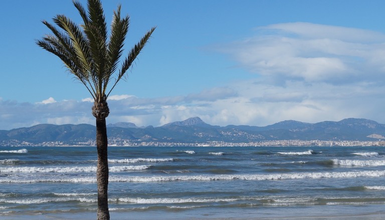 Playa de Palma