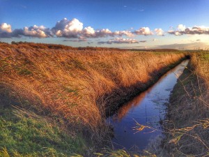 Marschen bei Cuxhaven