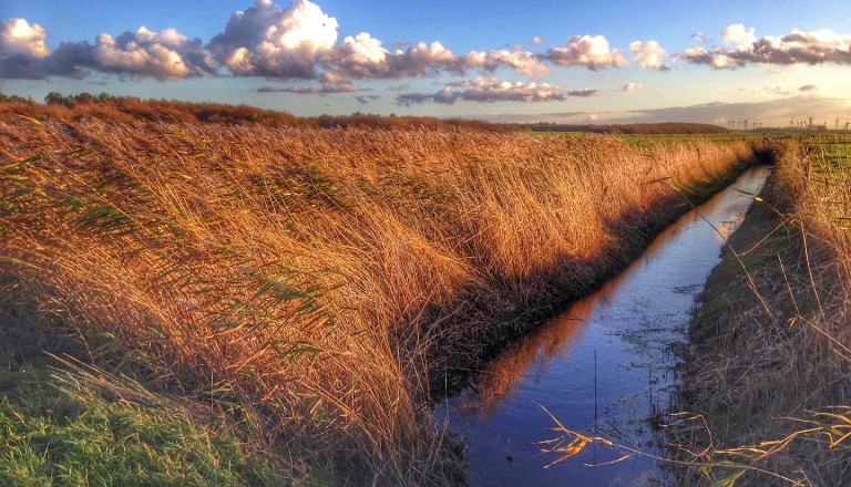 Marschen bei Cuxhaven